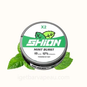 IGET SHION X2 Nicotine Pouch Mint Burst 12mg