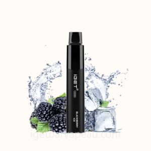 Nicotine Free IGET Legend Disposable Vape 4000 Puffs Blackberry Ice