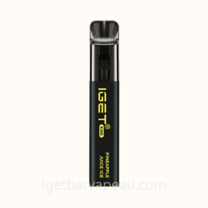 IGET King Exceptional Flavor Disposable Vape 5000 Puffs Pineapple Juice Ice