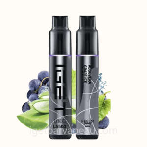 IGET HOT 5500 Puffs Disposable Vape - Premium Experience