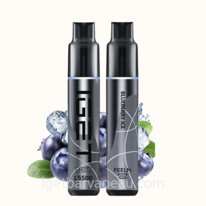 IGET HOT 5500 Puffs Disposable Vape - Premium Experience Blueberry Ice
