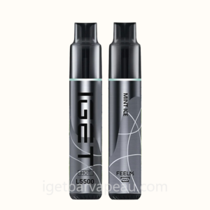 IGET HOT 5500 Puffs Disposable Vape - Premium Experience Mint Ice