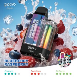 Gippro 8000 Blueberry Raspberry: A Perfect Blend of Blueberry and Raspberry