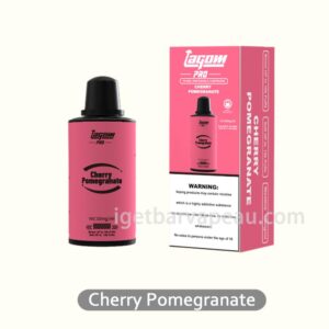 Lagom Pro 13K Pod Cherry Pomegranate: A Unique Blend of Sweet and Tart