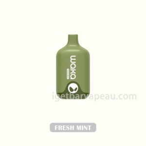 WAKA Smash 6000 Fresh Mint - Crisp mint for a refreshing experience