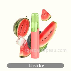 SnowPlus Dash Lush Ice Cool and Fruity Lush Ice Experience